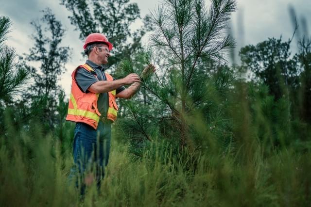 Man working in forest